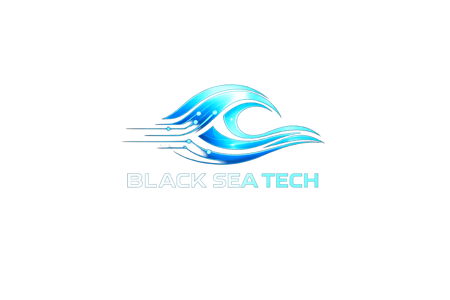 Logo BlackSea Tech